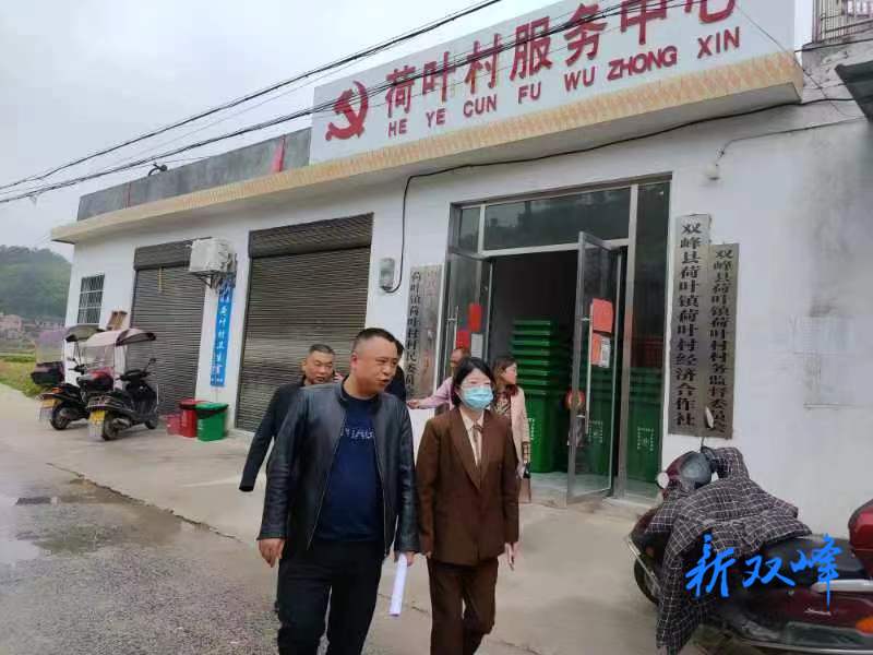刘燕到荷叶镇调研全域美丽乡村示范创建工作