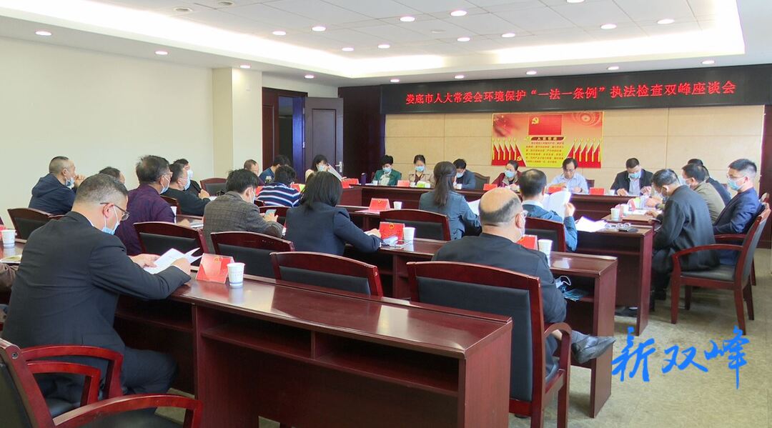 李有才率队来双峰开展环境保护“一法一条例”执法检查