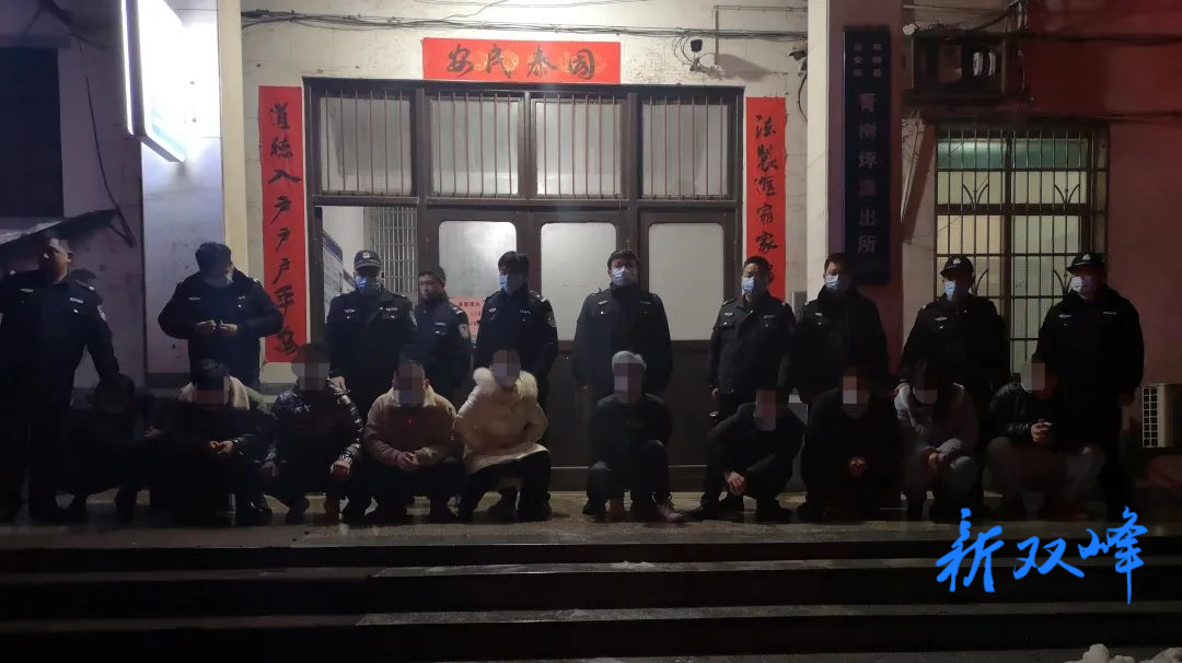 双峰公安打掉一“跑分洗钱”团伙，11人被依法刑拘