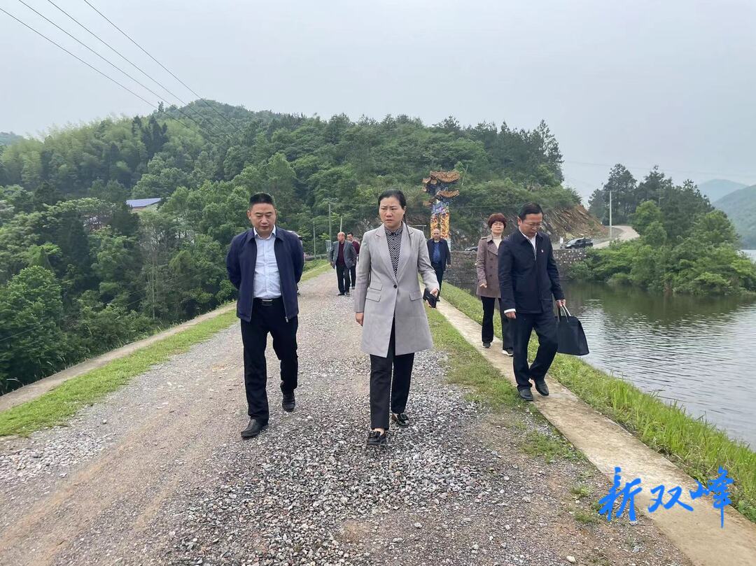 陈卫红调研水利债劵项目申报工作并督查防汛工作