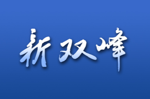 李基联主持召开双峰县人民政府2022年第9次常务会议