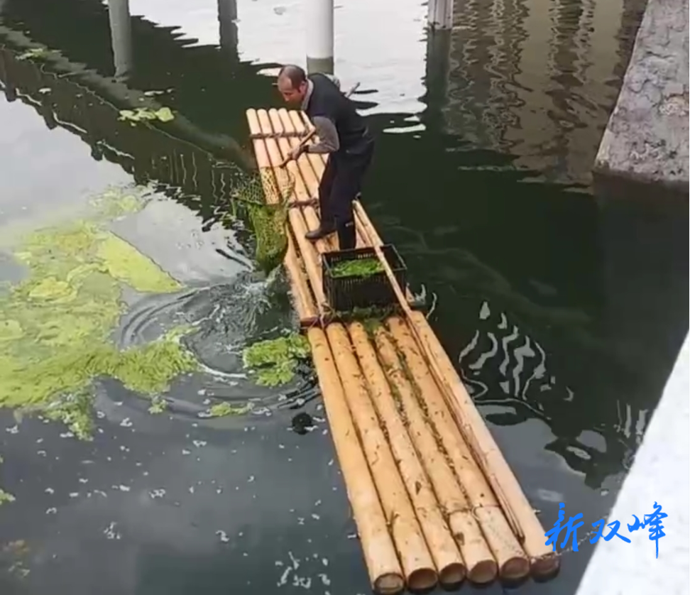 杏子铺镇：清理河道垃圾 建设美丽河湖