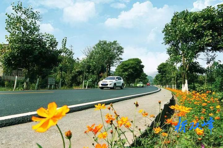 杏子铺镇双源村：旅游公路变“致富路”