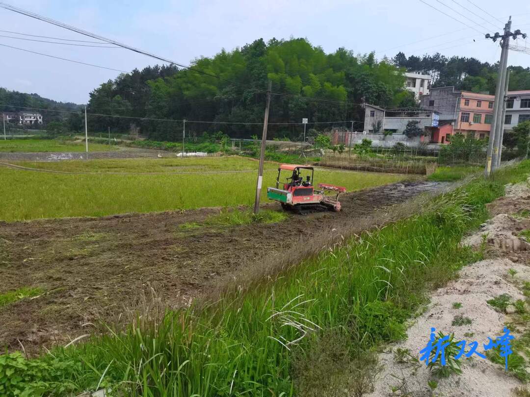 荷叶镇：抛荒整治正当时