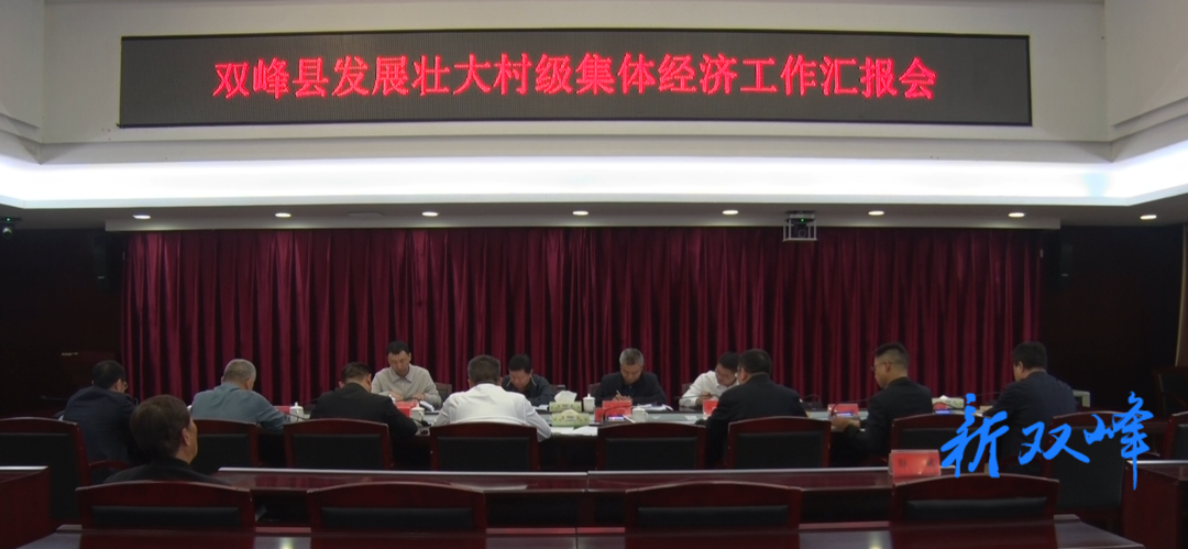 苏旻到双峰开展村级集体经济专题督导