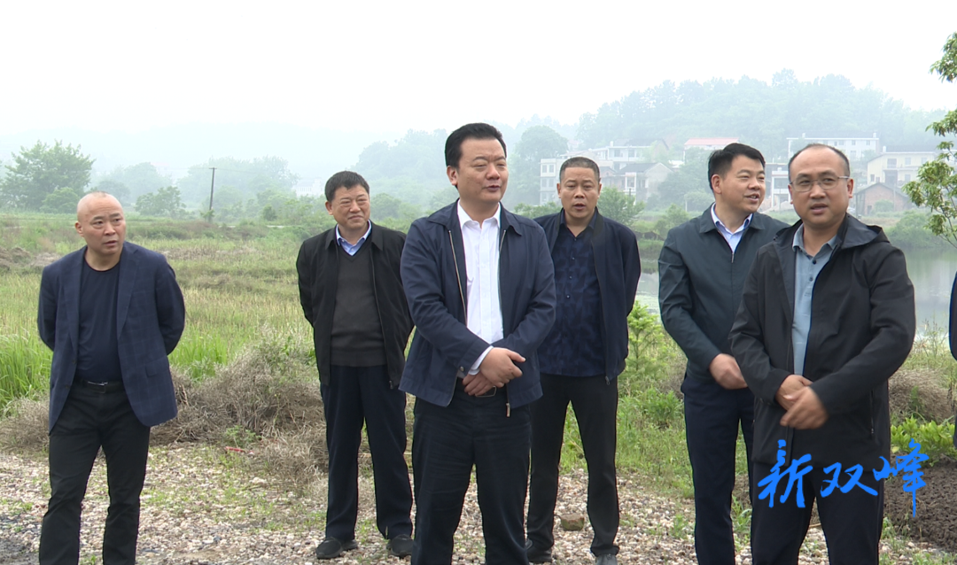戴志雄到乡镇街道巡河并检查防汛、安全工作