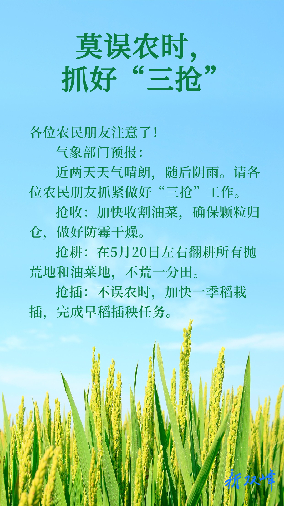海报丨莫误农时，抓好"三抢"