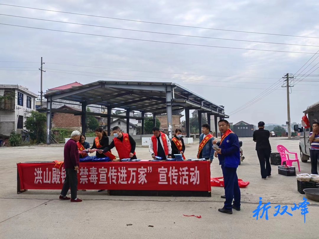 洪山殿镇积极开展“禁毒宣传进万家”活动
