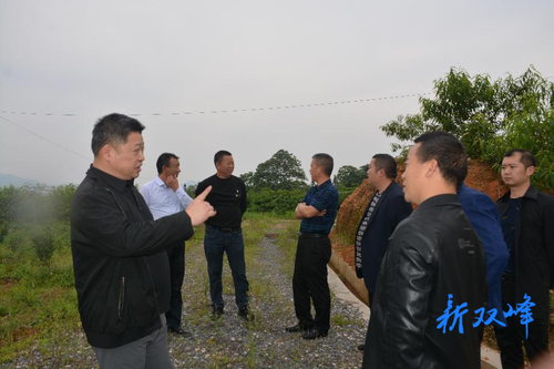 省移民中心督查双峰县移民领域建设项目安全生产工作