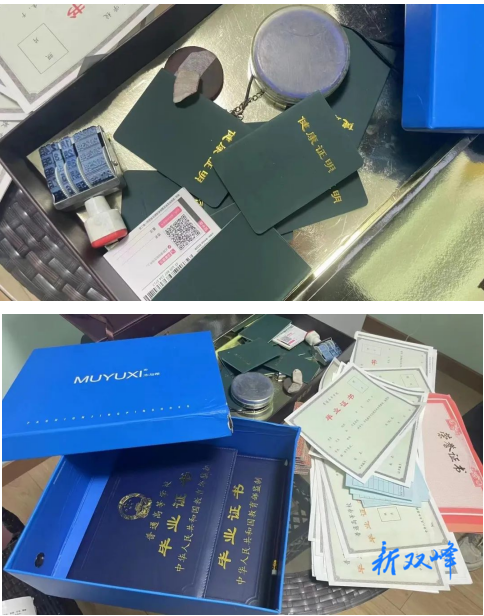 伪造假证，一女子被依法采取刑事强制措施