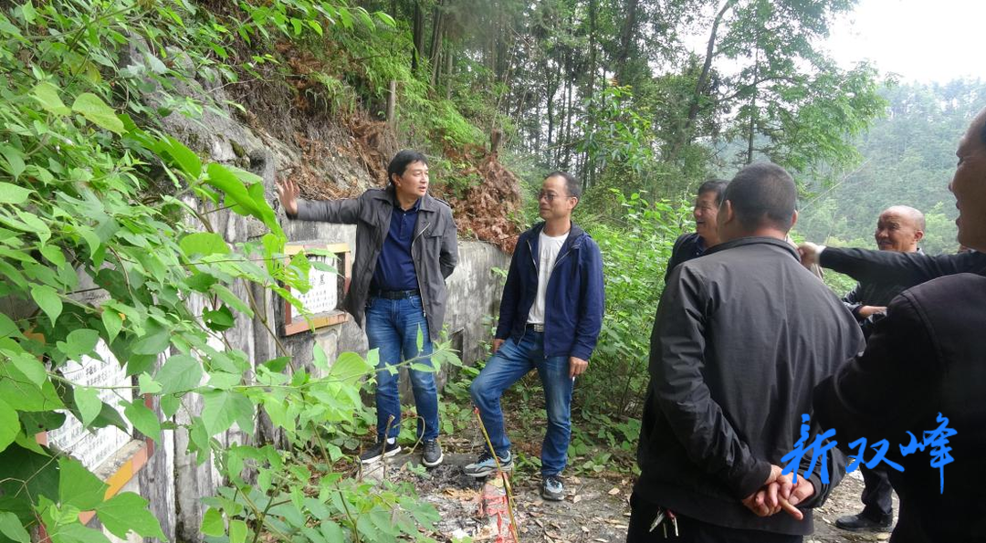 县文旅广体局到永丰街道开展文物巡查工作