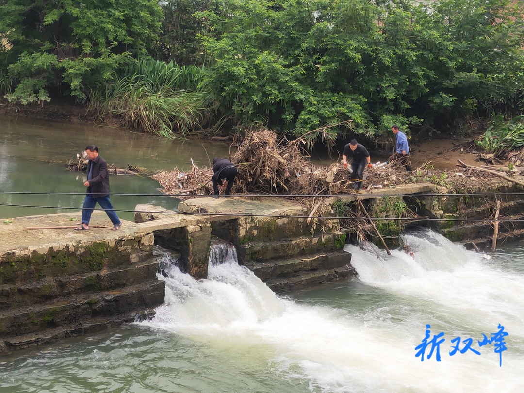 洪山殿镇：全力清理河道漂浮物