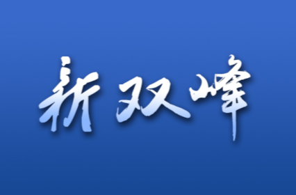 李基联主持召开双峰县人民政府2022年第11次常务会议