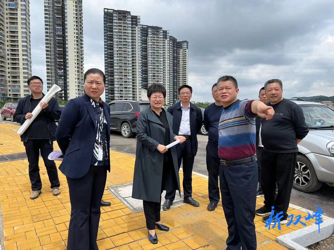 谢学龙来双峰调研重点项目建设情况