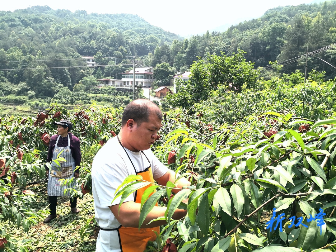 杏子铺镇溪口库区民兵：从渔民到老板 争当旅游致富先锋