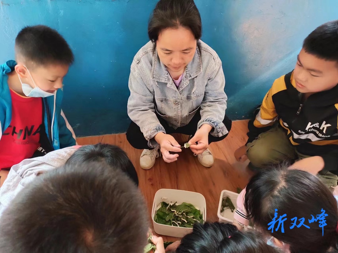 杏子合塘学校：乐养蚕 助“双减”