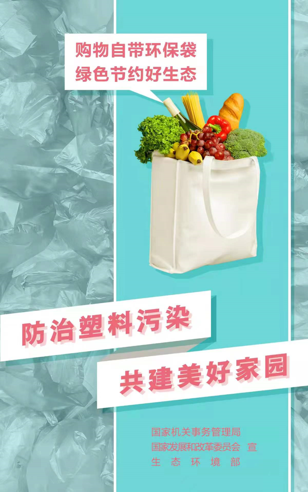 六五环境日 | 防治塑料污染，共建美好家园