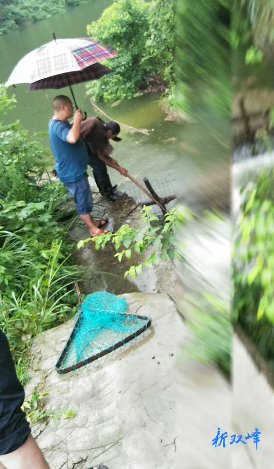 石牛乡政协委员投身防汛一线