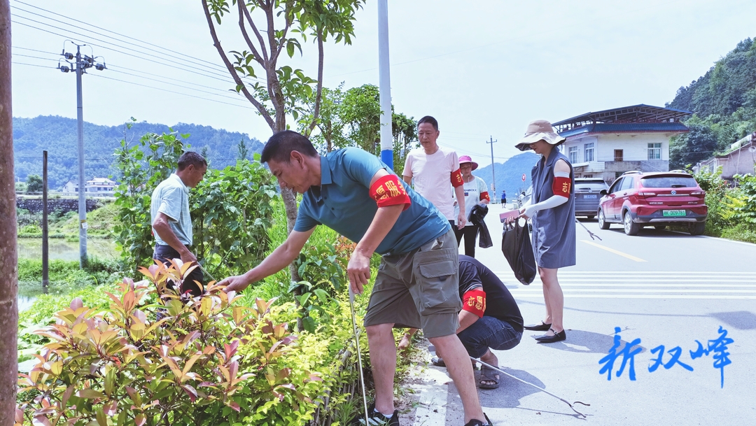 杏子铺镇：打好“五沿”仗 人居环境大提升