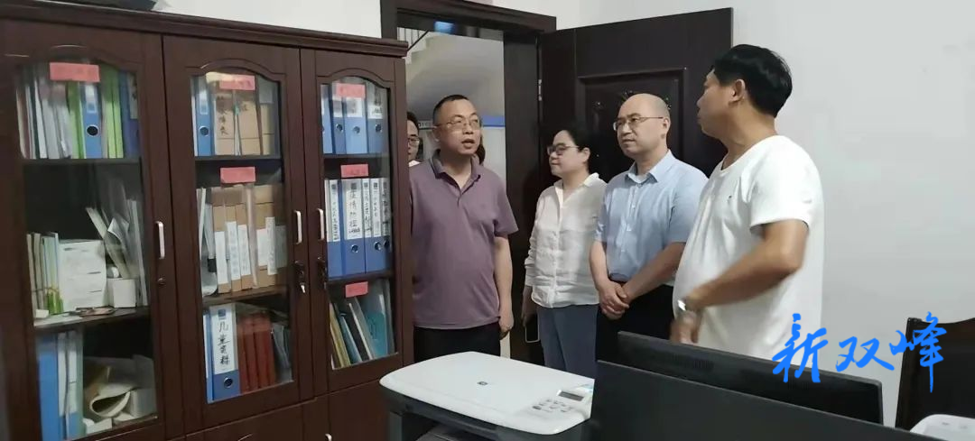李放、伍大勇赴民实村调研乡村振兴和农村警务工作