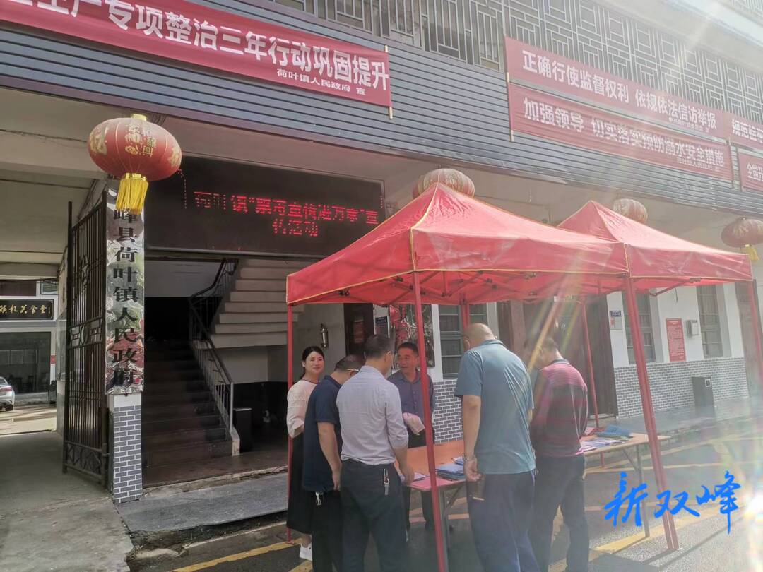 荷叶镇开展“宣传进万家”活动