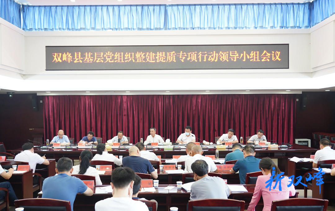 双峰县召开基层党组织整建提质专项行动领导小组会议 彭石清强调：坚持问题导向 抓牢工作重点 推动整改工作见实效