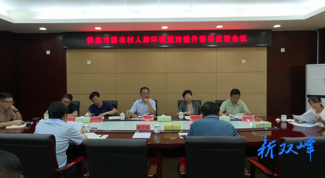 王雄率市委农村人居环境整治提升督导组来双峰督导工作