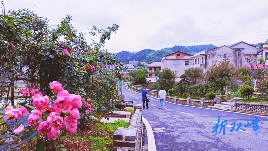 杏子铺镇：鲜花开满乡村路 村民出行添幸福