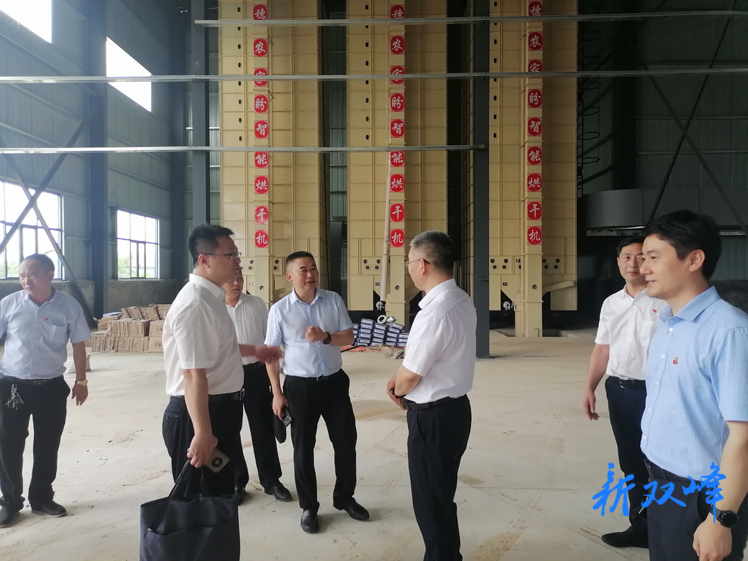省卫健委来双调研乡村振兴工作