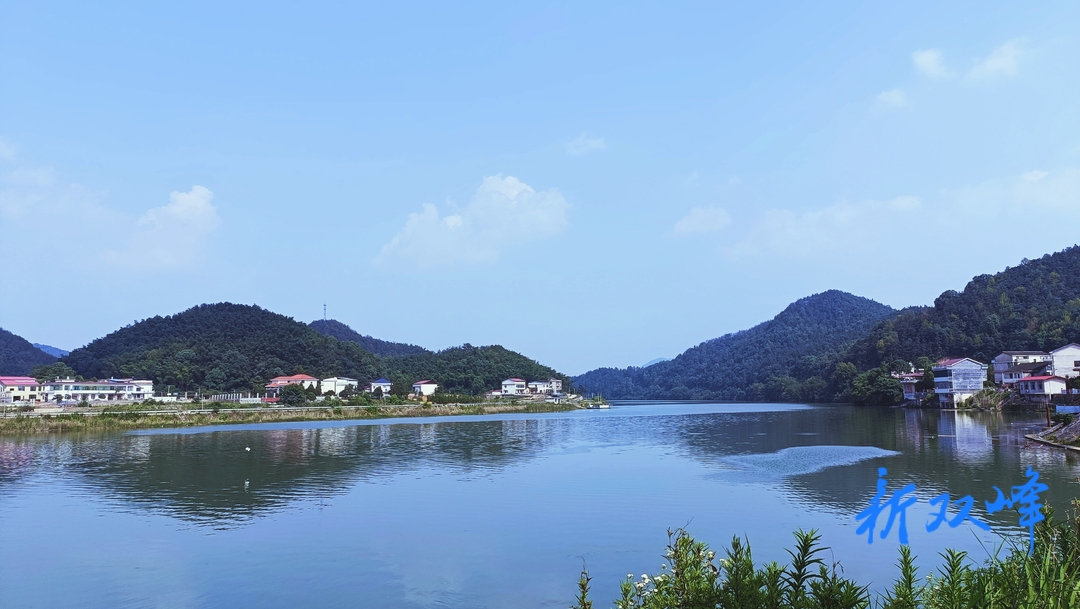 杏子铺镇：守护大美湿地 共享生态福祉