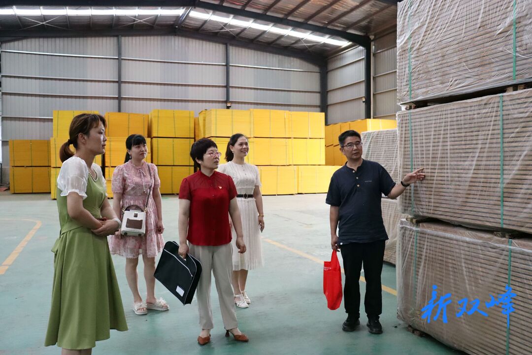 双峰县财政局到印塘乡开展干部联企服务活动