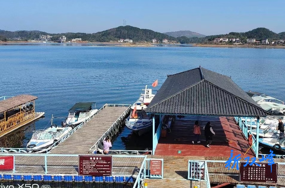 杏子铺镇溪口库区蝶变“网红村”