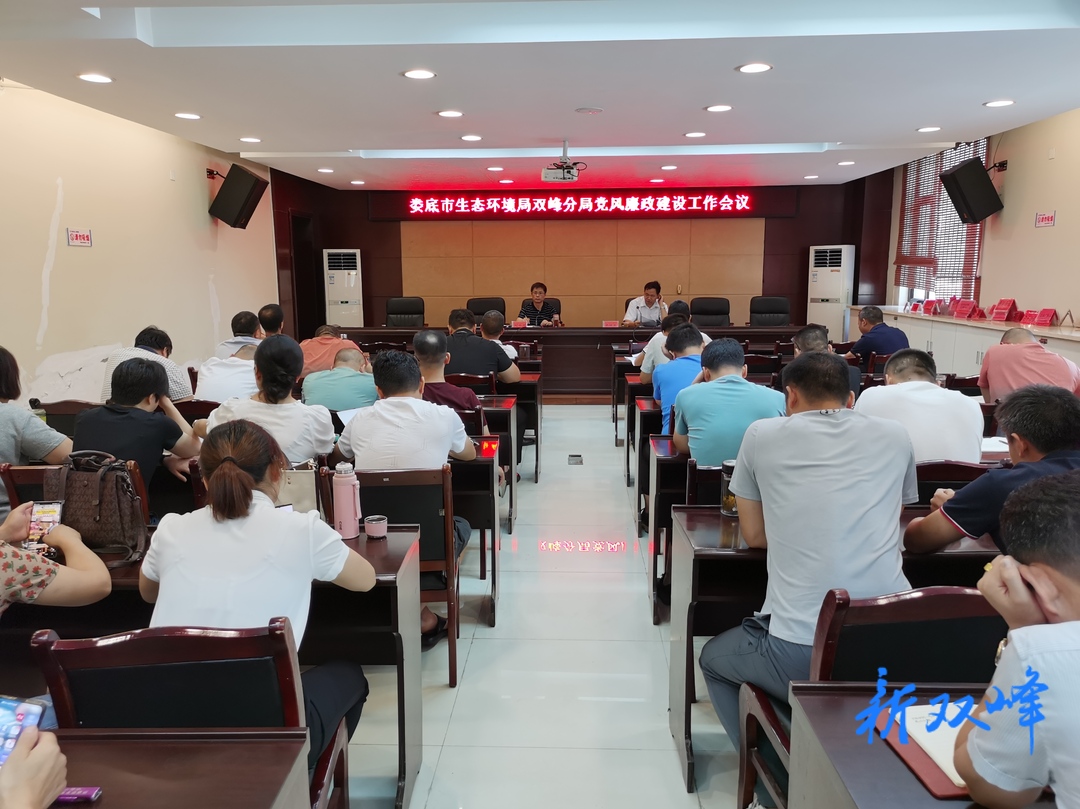 娄底市生态环境局双峰分局召开“改作风抓落实”工作动员部署会