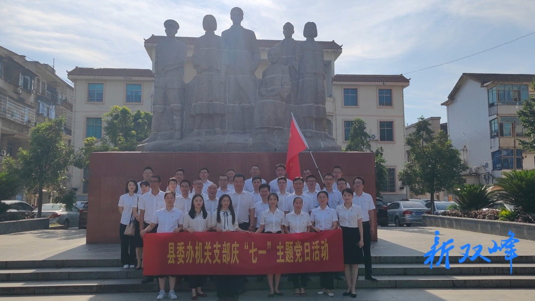 双峰县委办机关支部开展庆“七一”主题党日活动