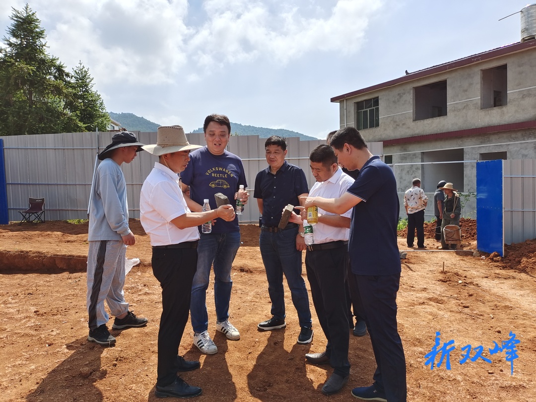 市领导来双调研文物保护与考古勘探工作