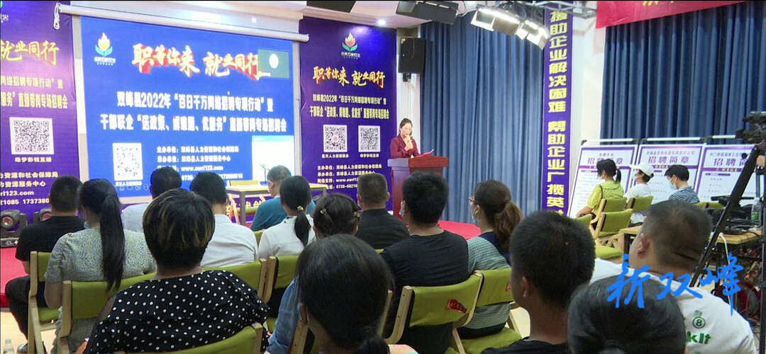 双峰：网上招聘 直播带岗