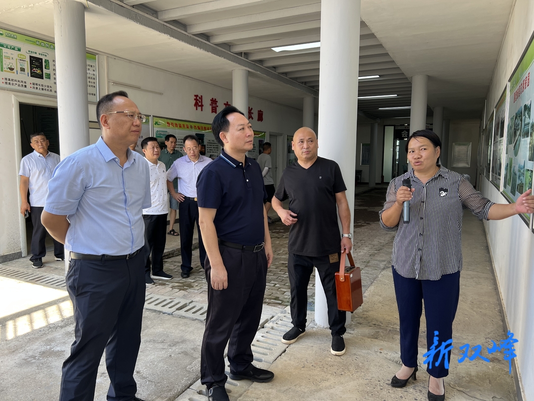 罗孝贵来双峰调研打击治理电信网络诈骗犯罪工作