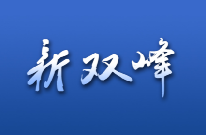 李基联主持召开双峰县人民政府2022年第19次常务会议