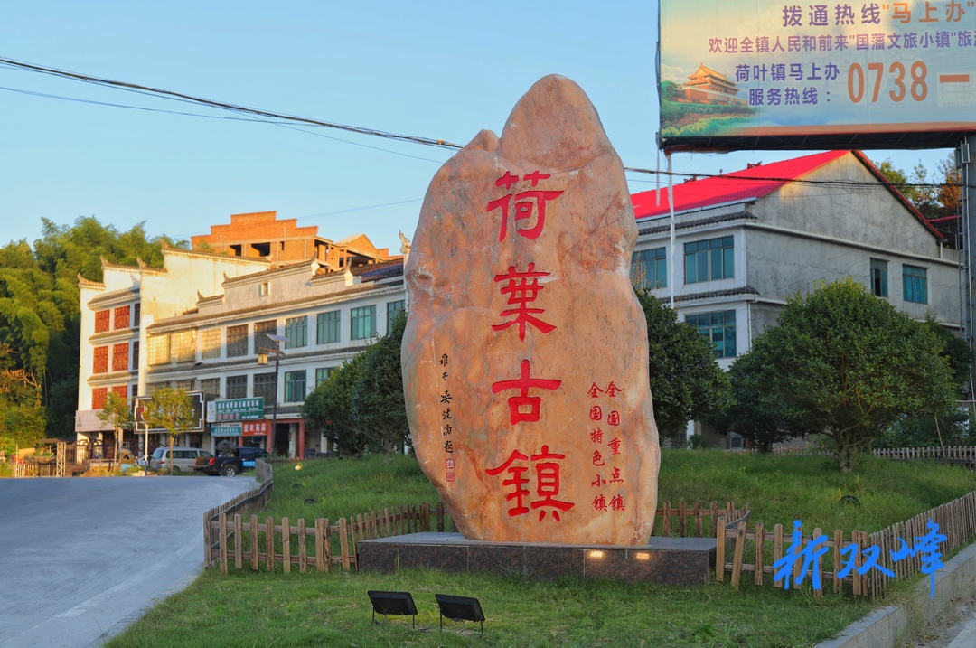 荷叶镇：昔日的广告“坟场”蝶变小花园