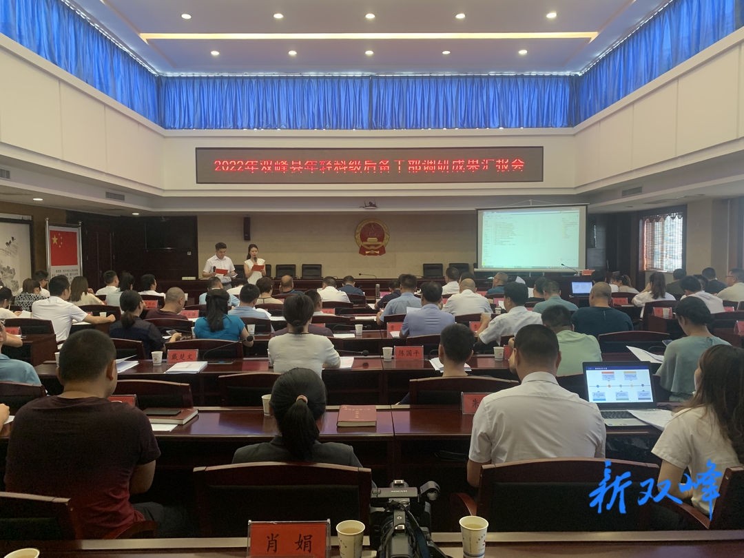 双峰召开2022年年轻科级后备干部调研成果汇报会
