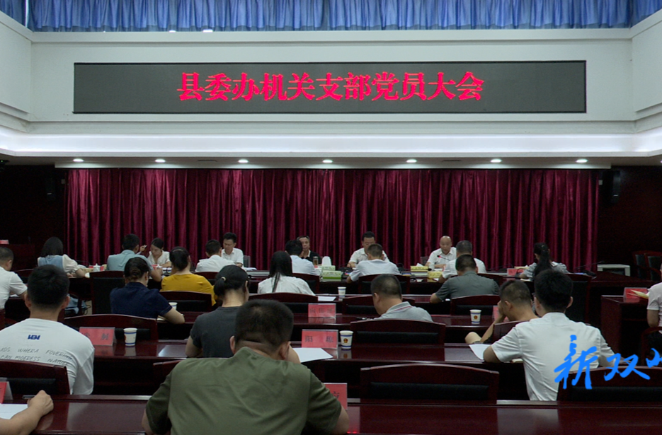 彭石清以普通党员身份参加县委办机关支部党员大会暨干部职工会议