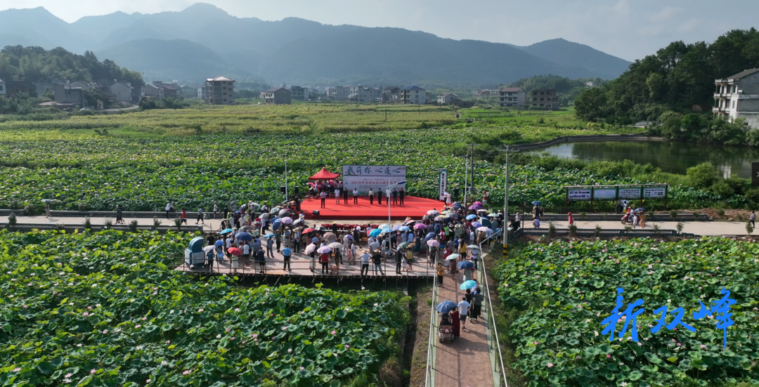 2022双峰县锁石“花之缘”荷花节开幕