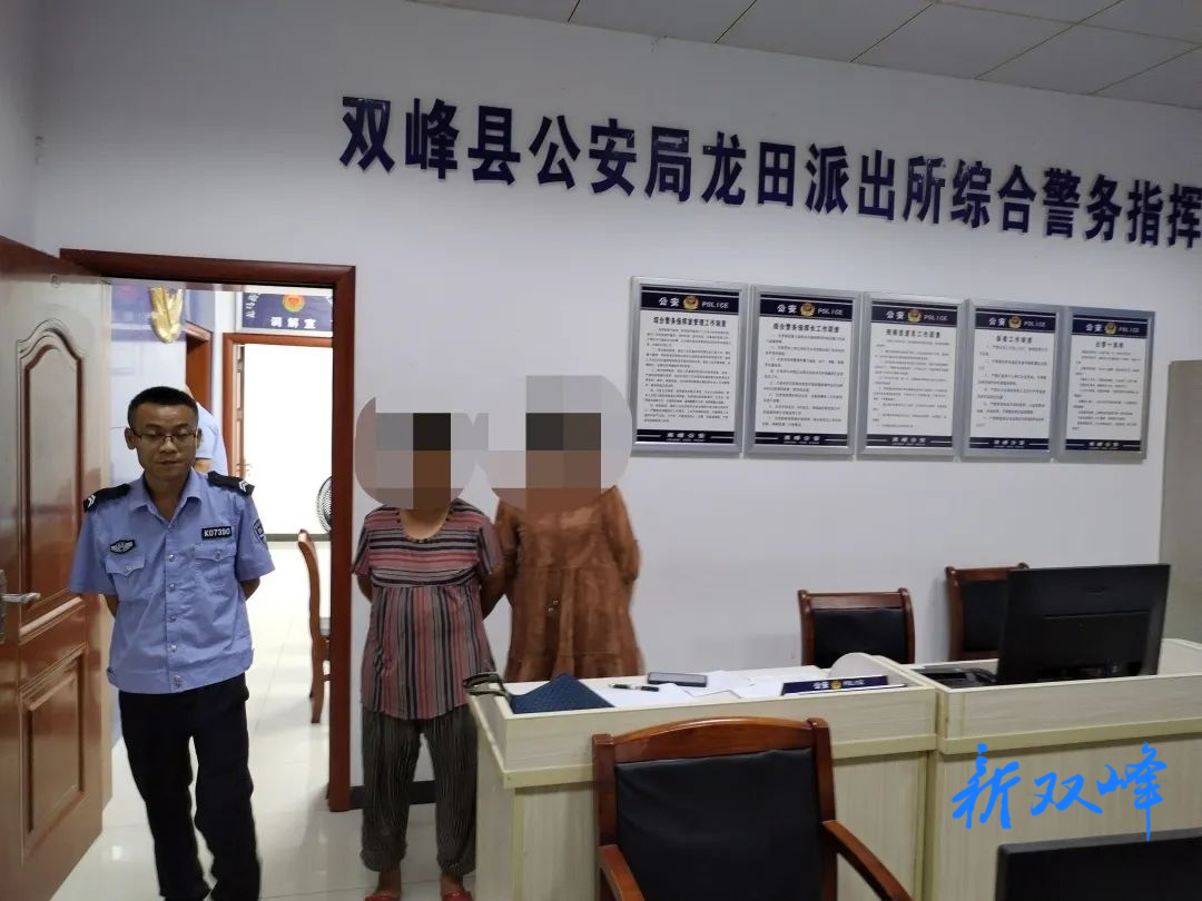【我为群众办实事】温暖“警”相随！龙田派出所助走失女子找到回家的路