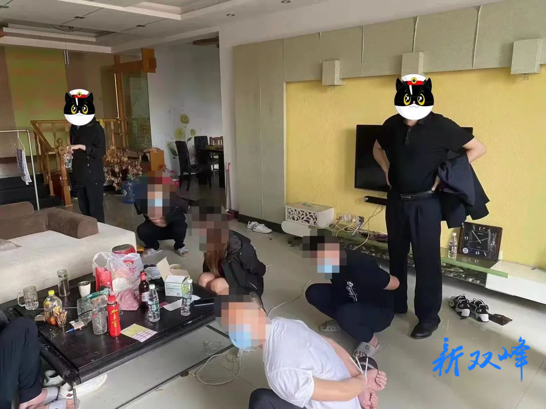【夏季治安打击整治“百日行动”】大快人心！双峰警方成功打掉一个“杀猪盘”电信诈骗团伙