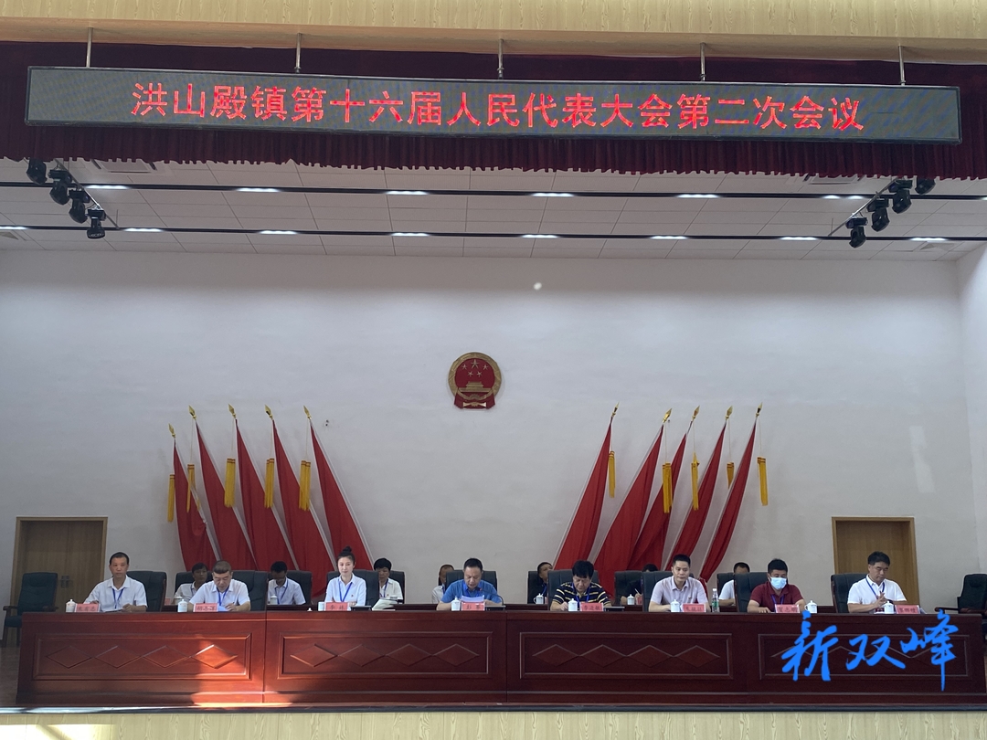洪山殿镇第十六届人民代表大会第二次会议召开