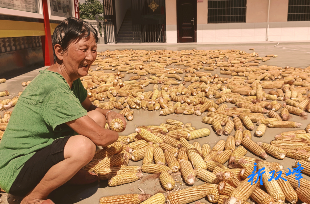 杏子铺镇：六旬老人开垦荒地种出“致富果”