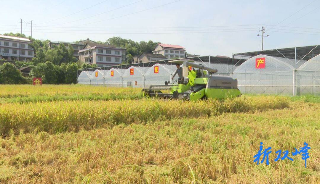 《人民日报》整版报道双峰小农机破解耕地“碎片化”难题让粮食颗粒归仓