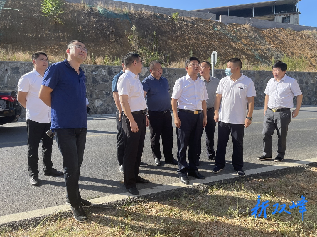 戴德清到双峰调研县乡两级民生实事人大代表票决制工作