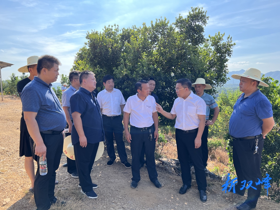 李基联在湘盛农业调研时强调：持续推动产业稳步发展  农民增收致富