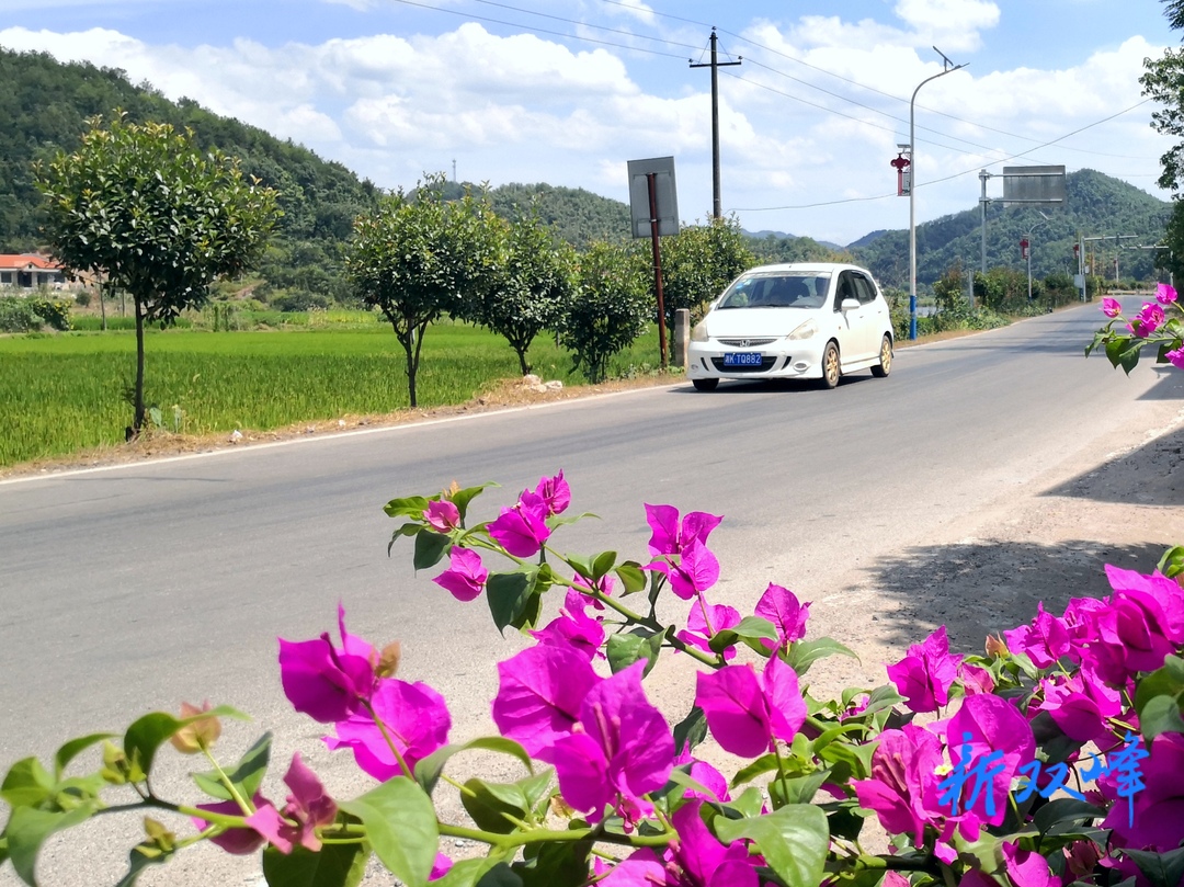杏子铺镇：加快农村公路建设助推乡村振兴